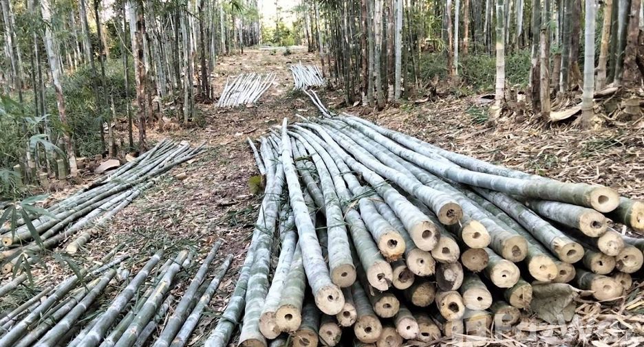 For sale land in Den Chai, Phrae