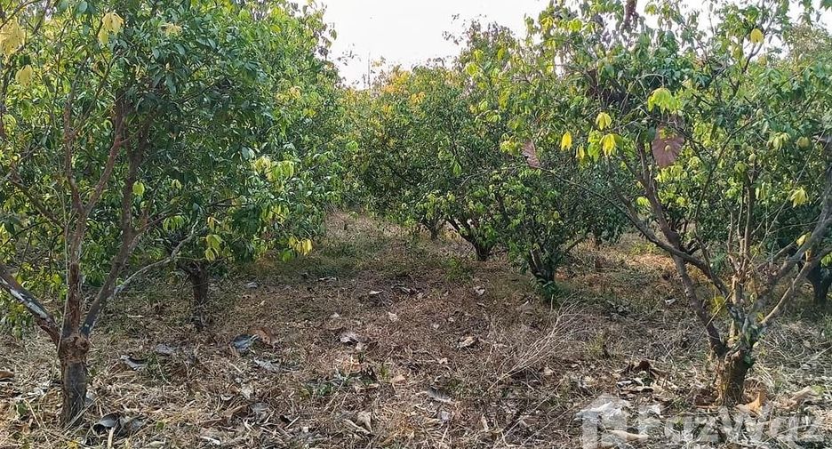 For sale land in Den Chai, Phrae