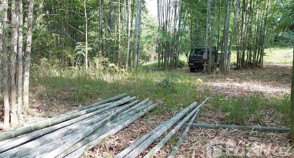 For sale land in Den Chai, Phrae