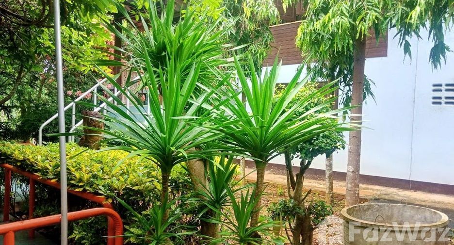 For sale land in Den Chai, Phrae