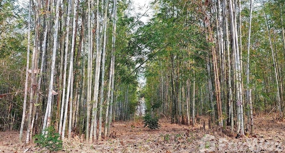 For sale land in Den Chai, Phrae