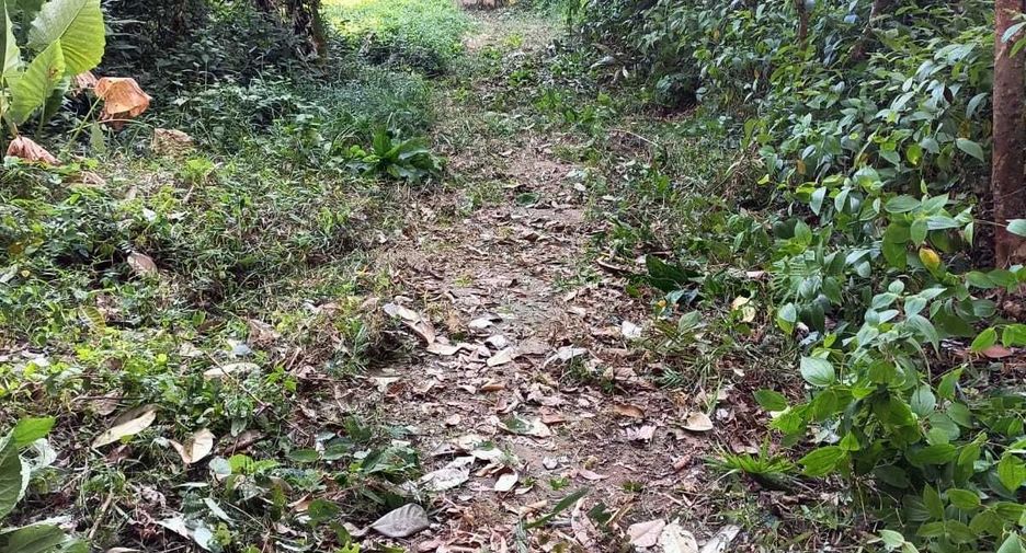 For sale land in Mueang Phuket, Phuket