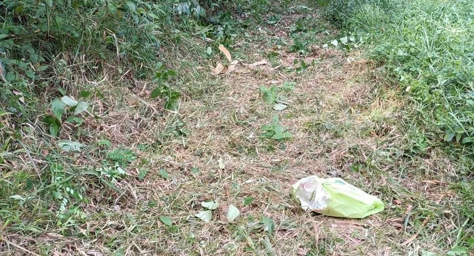 For sale land in Mueang Phuket, Phuket