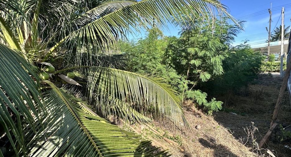 For sale land in Damnoen Saduak, Ratchaburi