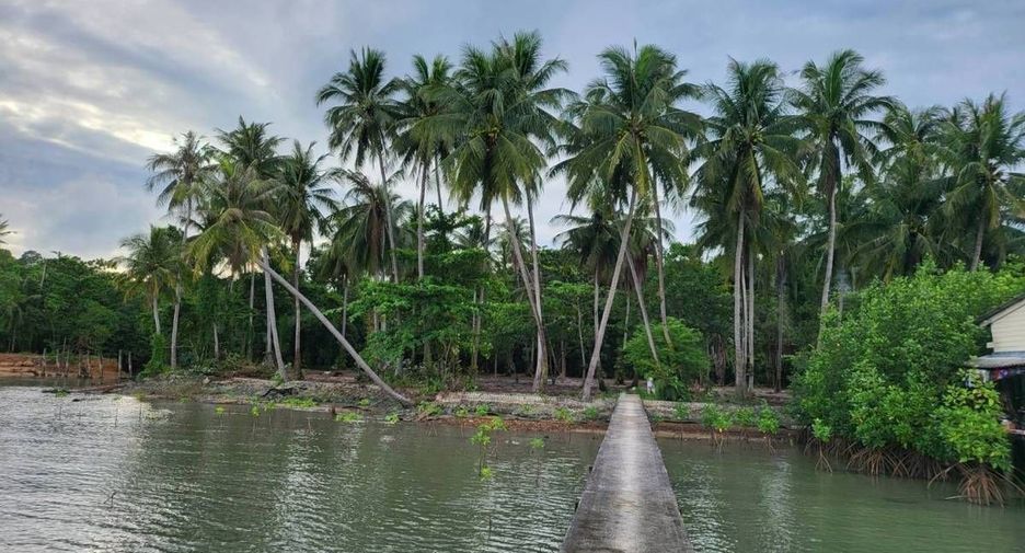 For sale land in Ko Chang, Trat