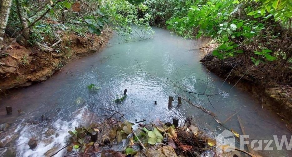 For sale land in Ko Chang, Trat