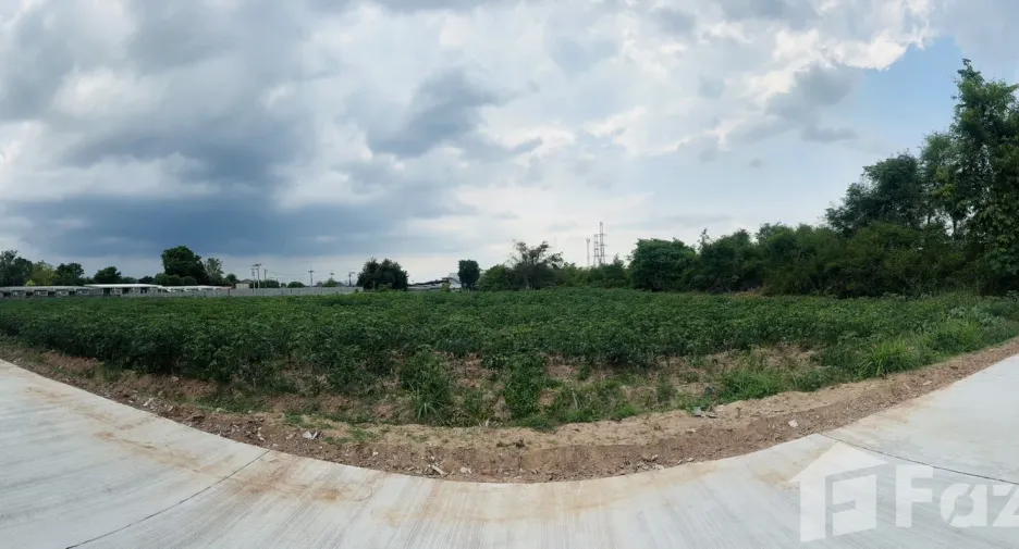 出售 土地 在 Mueang Nakhon Ratchasima, Nakhon Ratchasima