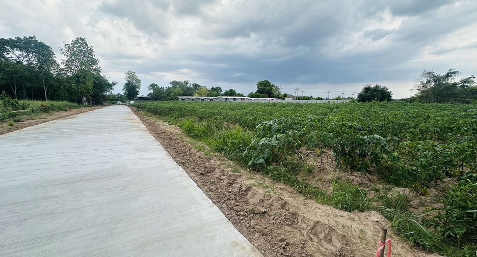 For sale land in Mueang Nakhon Ratchasima, Nakhon Ratchasima