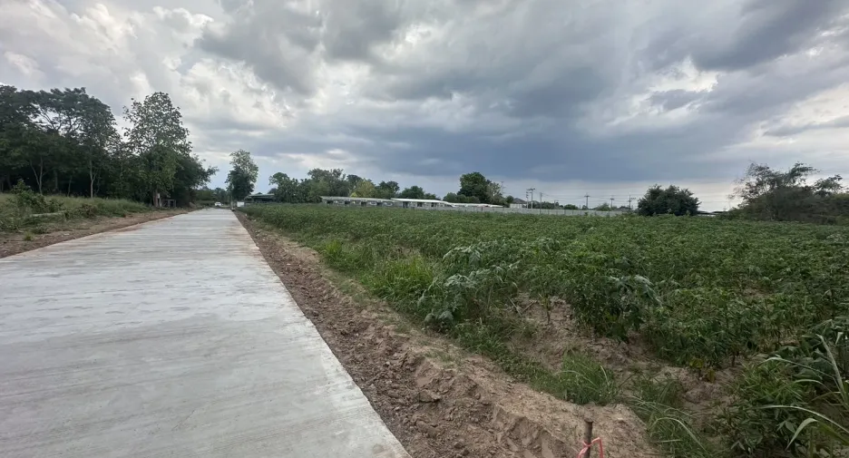 出售 土地 在 Mueang Nakhon Ratchasima, Nakhon Ratchasima