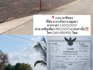 ขาย ที่ดิน ใน พระนครศรีอยุธยา, พระนครศรีอยุธยา