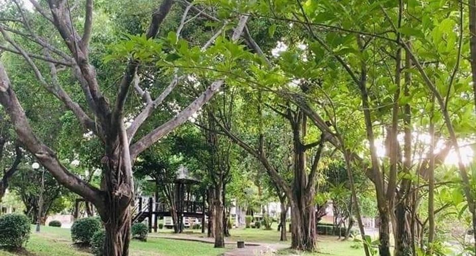 Casa en venta de 3 habitaciones en Mueang Chon Buri, Chonburi