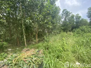 出售 土地 在 塔朗, 普吉