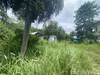 出售 土地 在 塔朗, 普吉