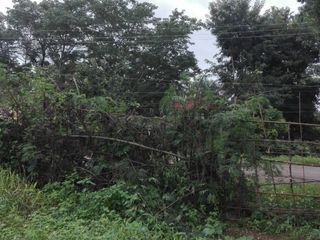 For sale land in Pak Thong Chai, Nakhon Ratchasima