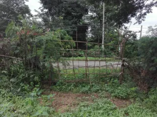 For sale land in Pak Thong Chai, Nakhon Ratchasima