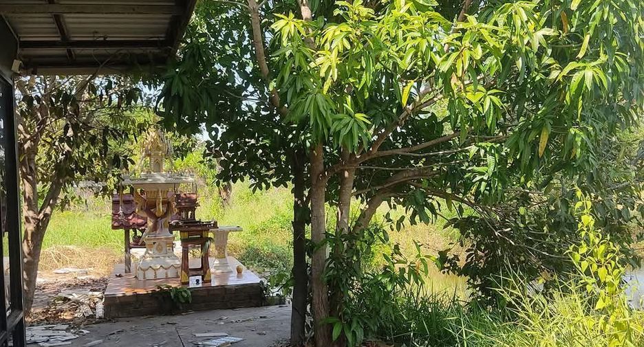 ขาย และ ให้เช่า 1 เตียง บ้านเดี่ยว ใน เมืองขอนแก่น, ขอนแก่น