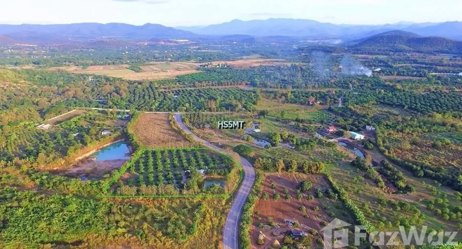 ขาย ที่ดิน ใน ป่าซาง, ลำพูน