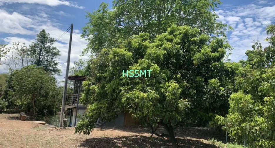ขาย ที่ดิน ใน ป่าซาง, ลำพูน