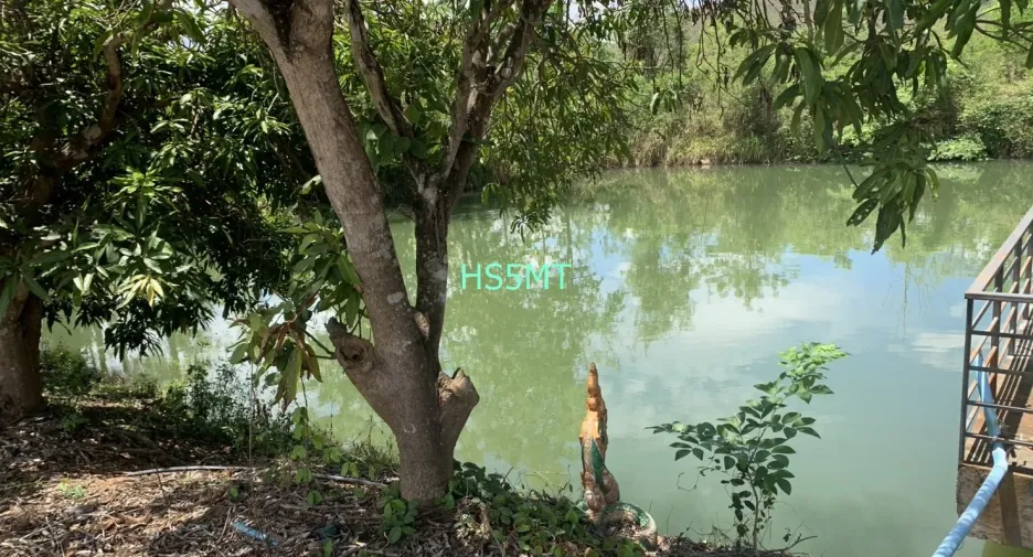 ขาย ที่ดิน ใน ป่าซาง, ลำพูน