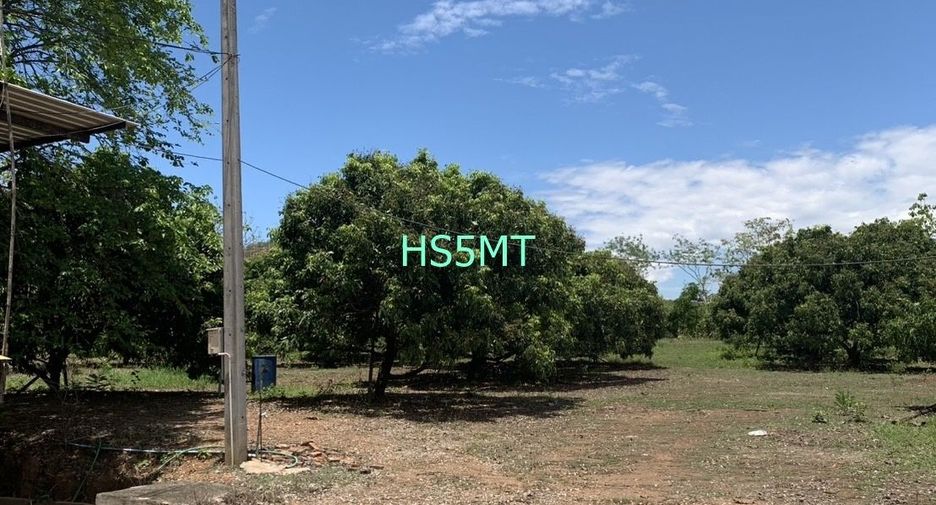 ขาย ที่ดิน ใน ป่าซาง, ลำพูน