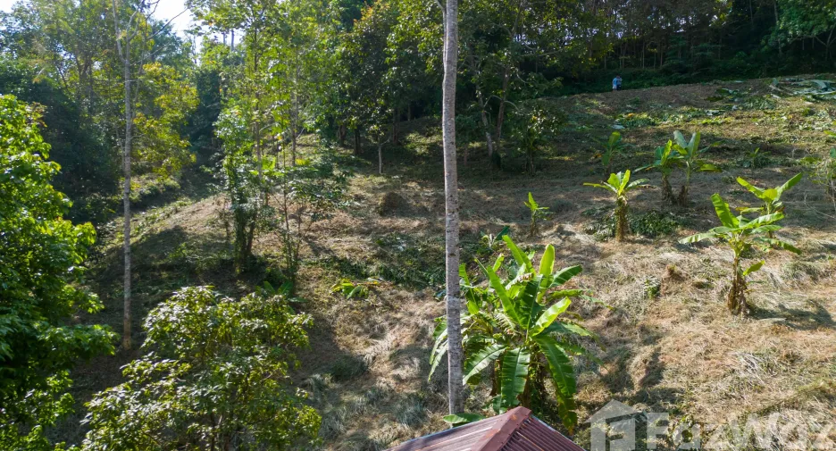 出售 土地 在 塔朗, 普吉