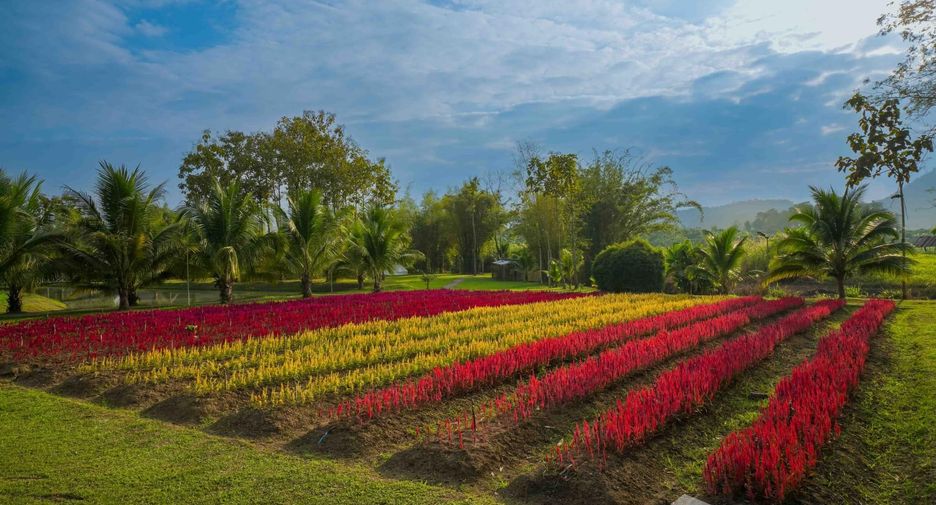 Hotel zum Kauf mit 4 Zimmer in Chiang Dao, Chiang Mai