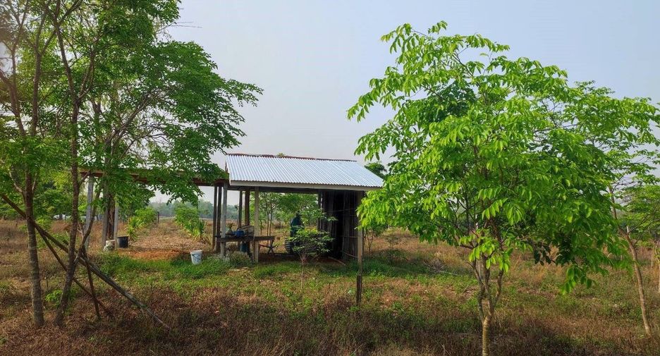 For sale land in Phu Wiang, Khon Kaen