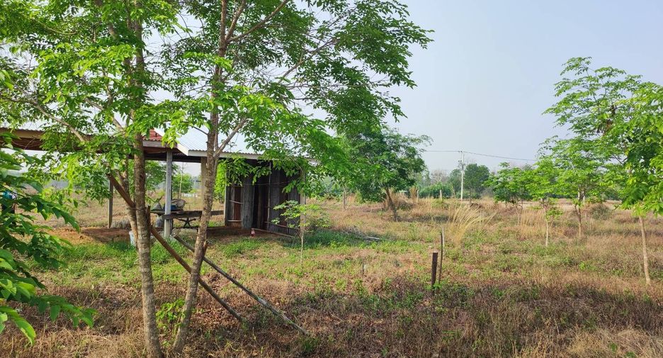 For sale land in Phu Wiang, Khon Kaen