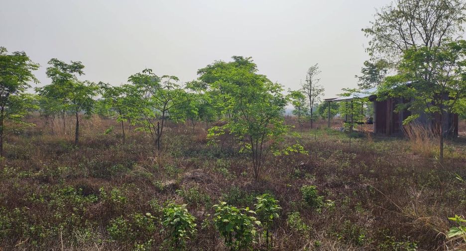 For sale land in Phu Wiang, Khon Kaen