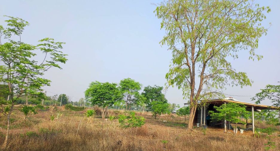 For sale land in Phu Wiang, Khon Kaen