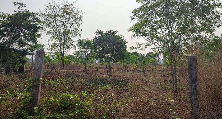 For sale land in Phu Wiang, Khon Kaen