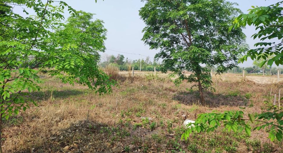 For sale land in Phu Wiang, Khon Kaen