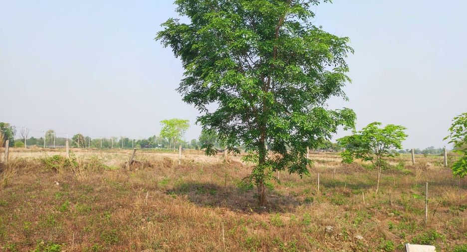 For sale land in Phu Wiang, Khon Kaen