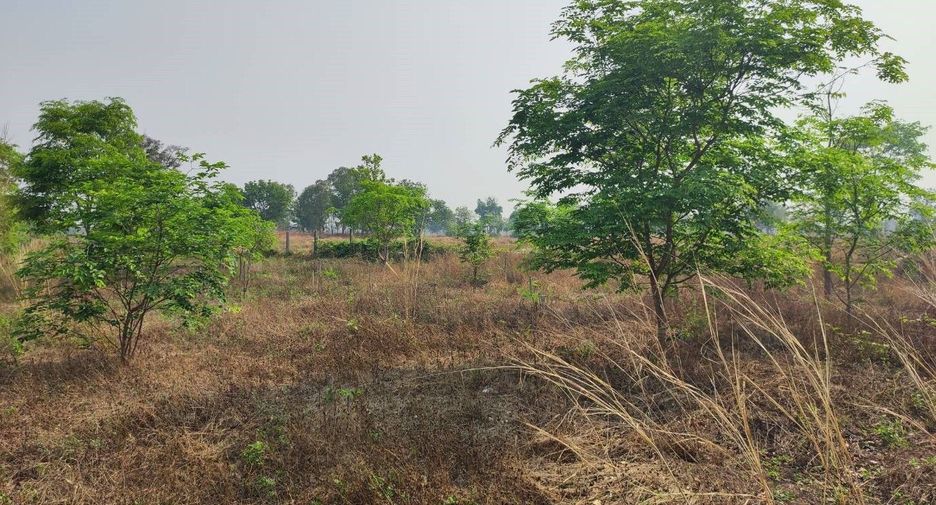 For sale land in Phu Wiang, Khon Kaen