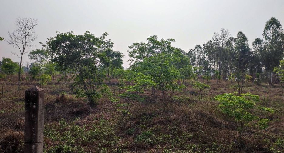 For sale land in Phu Wiang, Khon Kaen