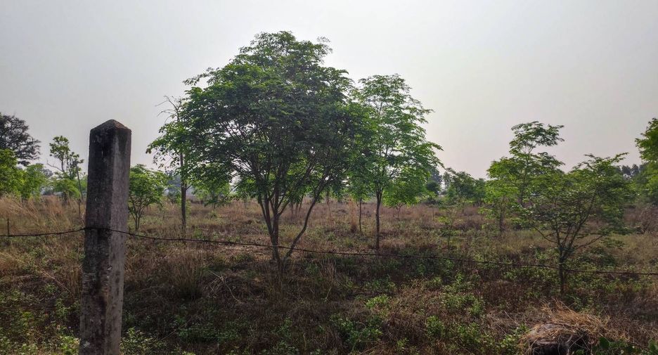 For sale land in Phu Wiang, Khon Kaen