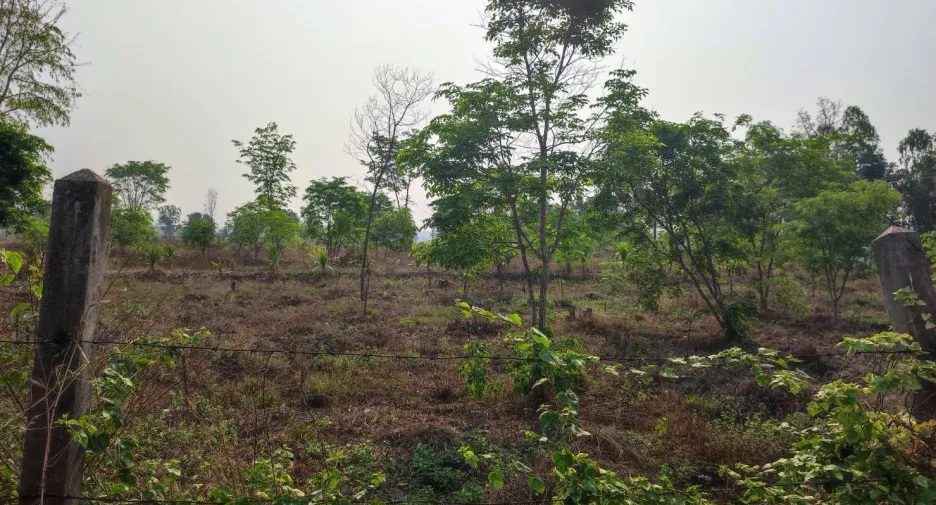 For sale land in Phu Wiang, Khon Kaen