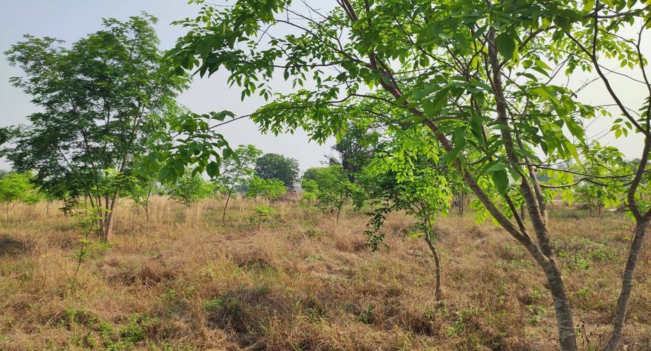 For sale land in Phu Wiang, Khon Kaen