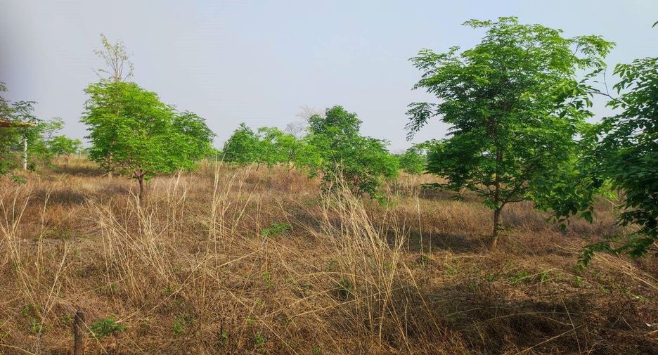 For sale land in Phu Wiang, Khon Kaen