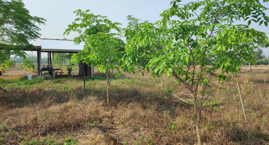 For sale land in Phu Wiang, Khon Kaen