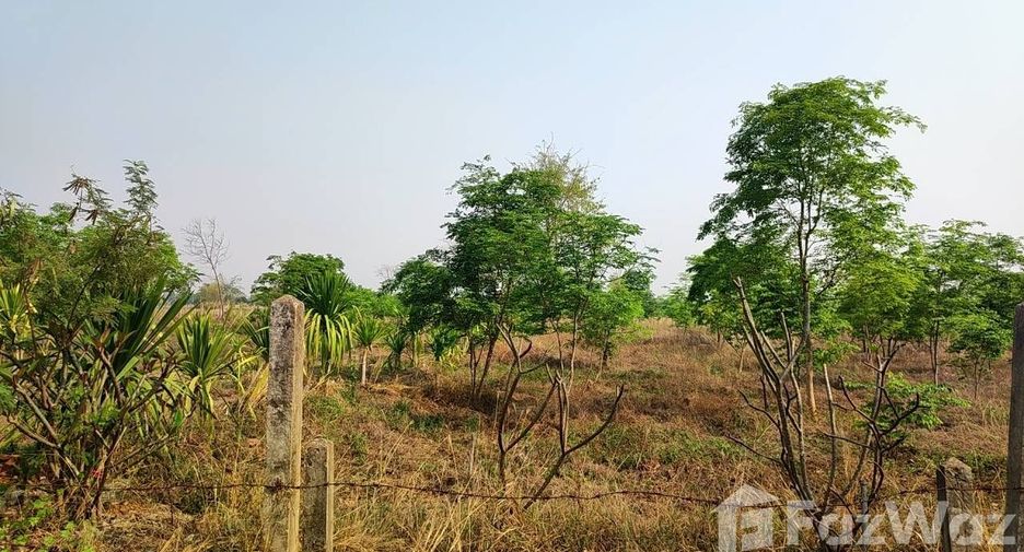 For sale land in Phu Wiang, Khon Kaen