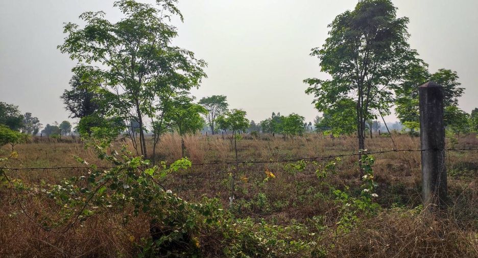 For sale land in Phu Wiang, Khon Kaen