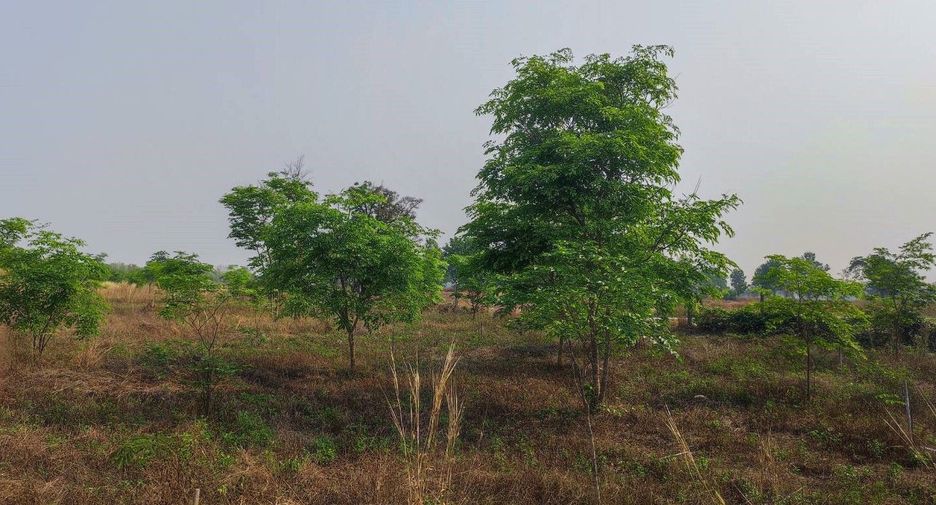 For sale land in Phu Wiang, Khon Kaen