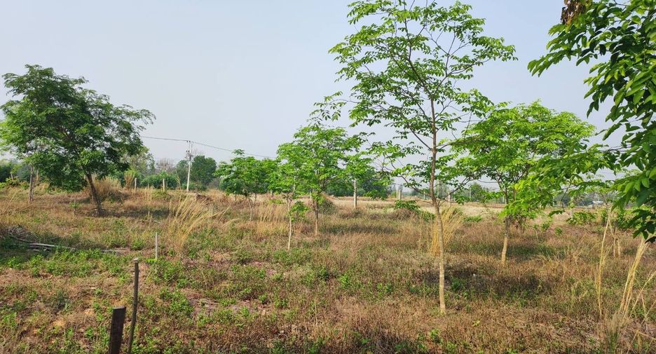 For sale land in Phu Wiang, Khon Kaen
