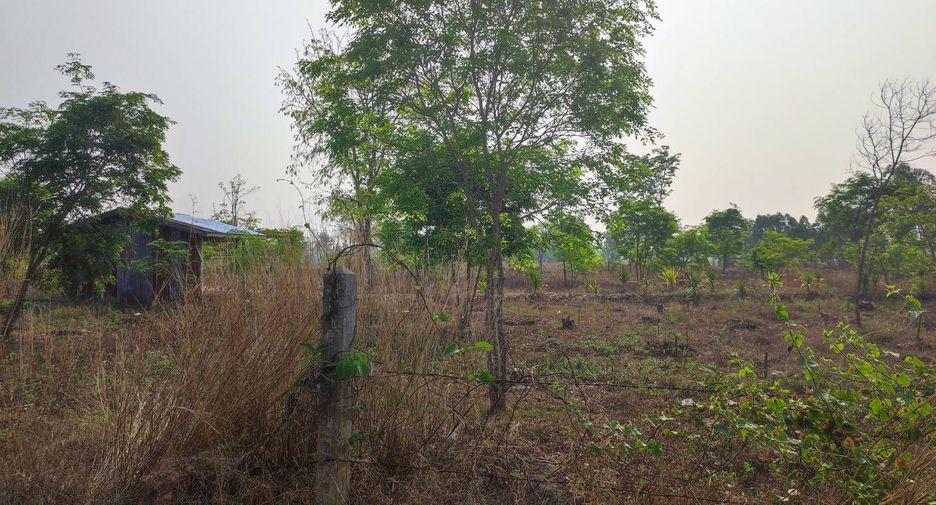 For sale land in Phu Wiang, Khon Kaen