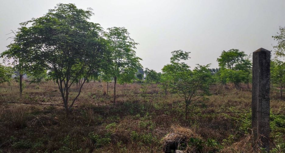 For sale land in Phu Wiang, Khon Kaen