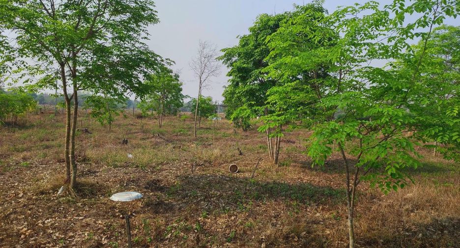 For sale land in Phu Wiang, Khon Kaen
