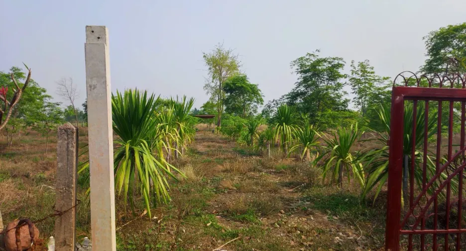 For sale land in Phu Wiang, Khon Kaen