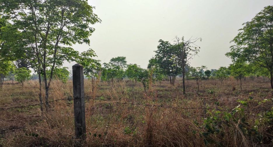 For sale land in Phu Wiang, Khon Kaen