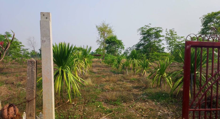 For sale land in Phu Wiang, Khon Kaen
